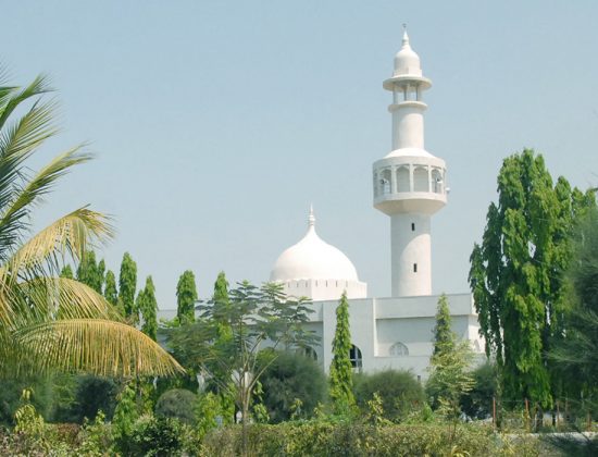 Mohammadia Tibbia College and Assayer Hospital