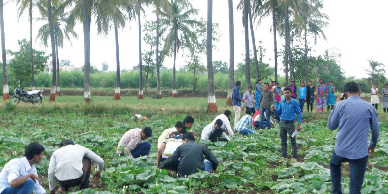 HH Sri Sri Murlidhara Swamiji College of Horticulture